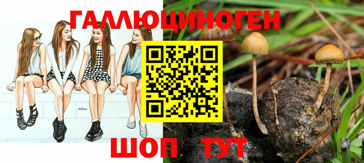 Псилоцибиновые грибы Magic Shrooms Черняховск